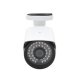 AVerDİGİ AD-215B 2.0 Mega Piksel 25-30m Gece Görüş 3.6mm Lens AHD Bullet Kamera (4in1)