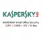 KASPERSKY Small Office Security 20PC + 20MD + 2FS 1 Yıl Box