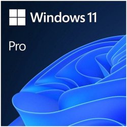 Microsoft Windows 11 Pro Trk 64 Bit Oem FQC-10556 İşletim Sistemi