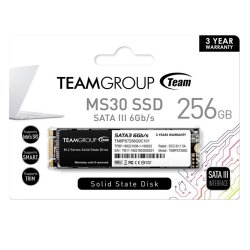 TEAM MS30 M.2 256GB SSD SATA3 6Gb/S TM8PS7256G0C101